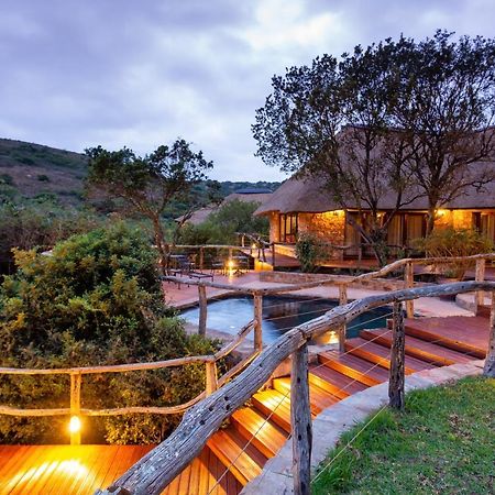 Lalibela Game Reserve Mark'S Camp เกรแฮมส์ทาวน์ ภายนอก รูปภาพ