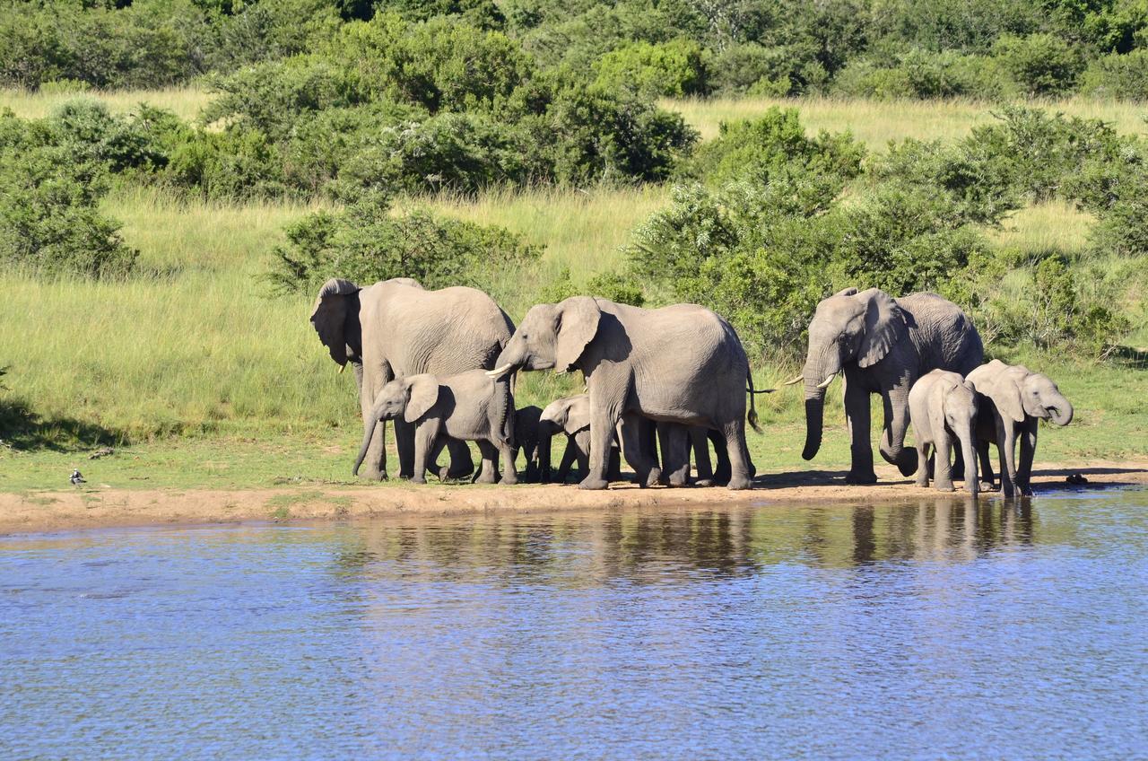 Lalibela Game Reserve Mark'S Camp เกรแฮมส์ทาวน์ ภายนอก รูปภาพ