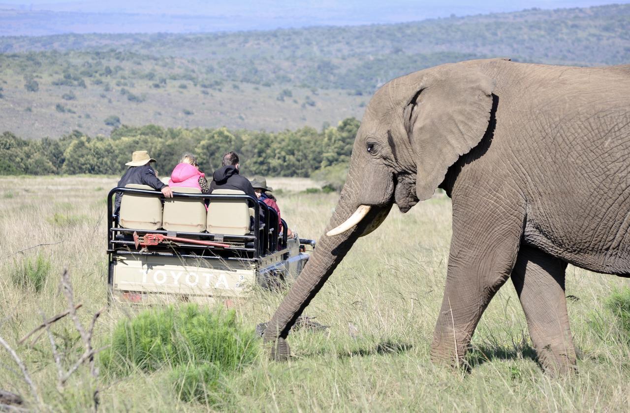Lalibela Game Reserve Mark'S Camp เกรแฮมส์ทาวน์ ภายนอก รูปภาพ